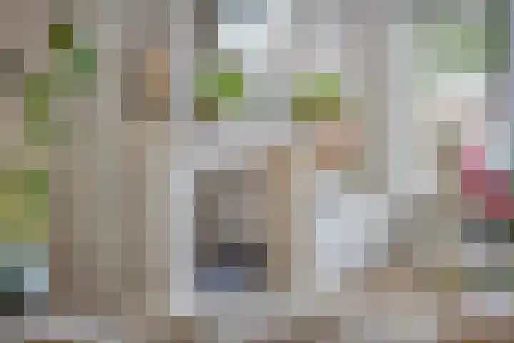 Clarastraat 31 Wijchen thumbnail 25