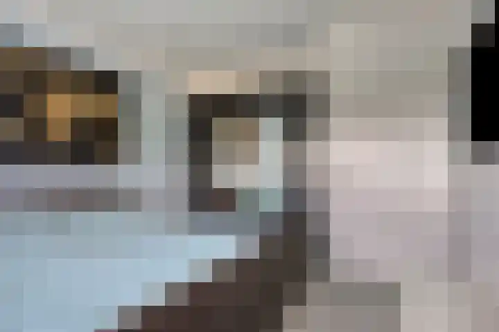 Clarastraat 31 Wijchen thumbnail 31