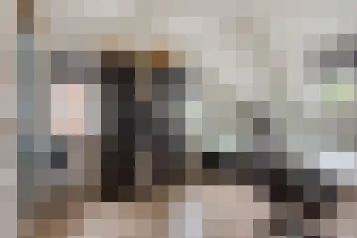 Clarastraat 31 Wijchen thumbnail 36