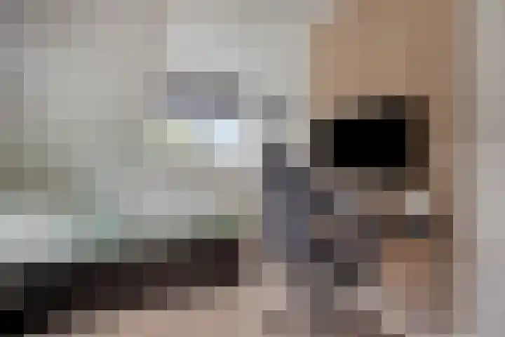 Clarastraat 31 Wijchen thumbnail 37