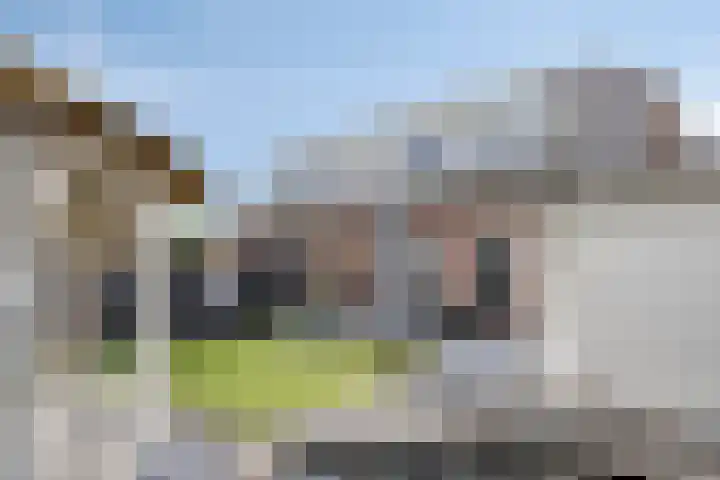Clarastraat 31 Wijchen thumbnail 40