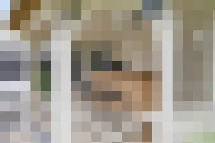 Clarastraat 31 Wijchen thumbnail 44