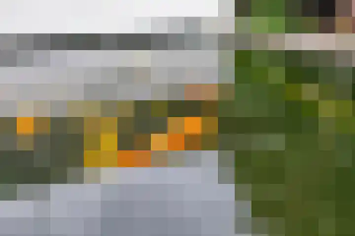 Clarastraat 31 Wijchen thumbnail 47