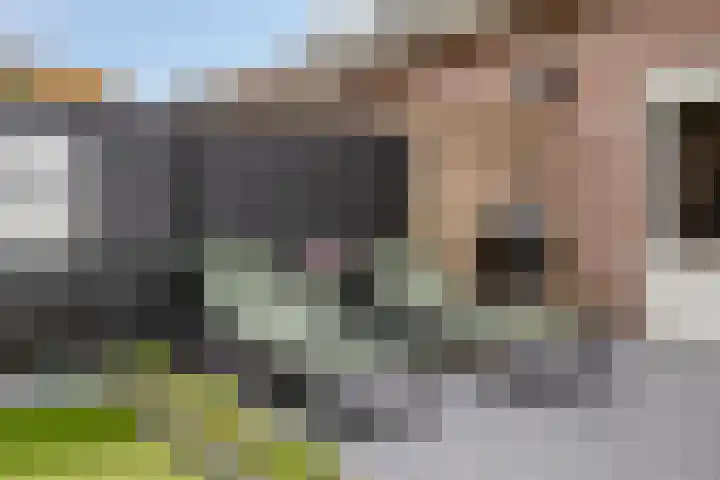 Clarastraat 31 Wijchen thumbnail 48