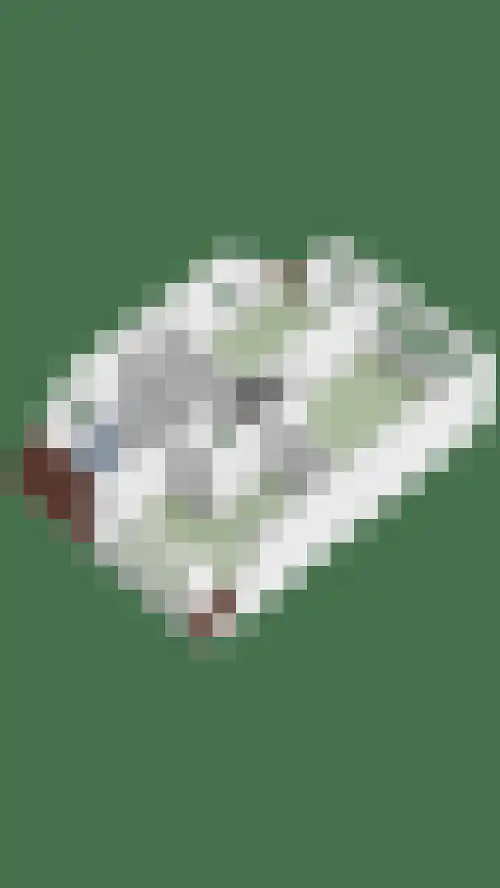 Clarastraat 31 Wijchen thumbnail 54