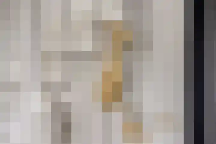 Clarastraat 31 Wijchen thumbnail 7