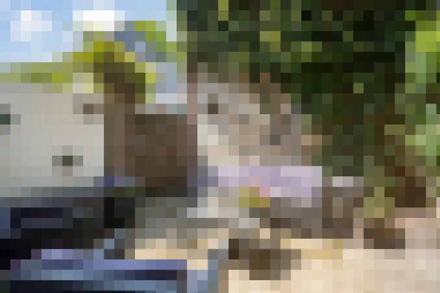 Clarastraat 5 's-Hertogenbosch thumbnail 12