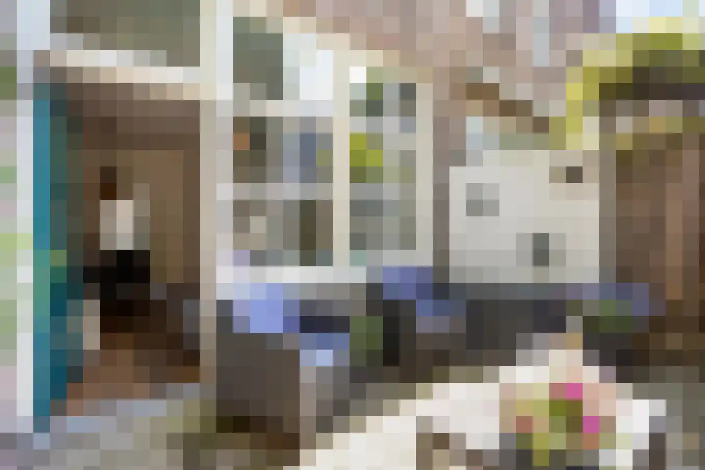 Clarastraat 5 's-Hertogenbosch thumbnail 13