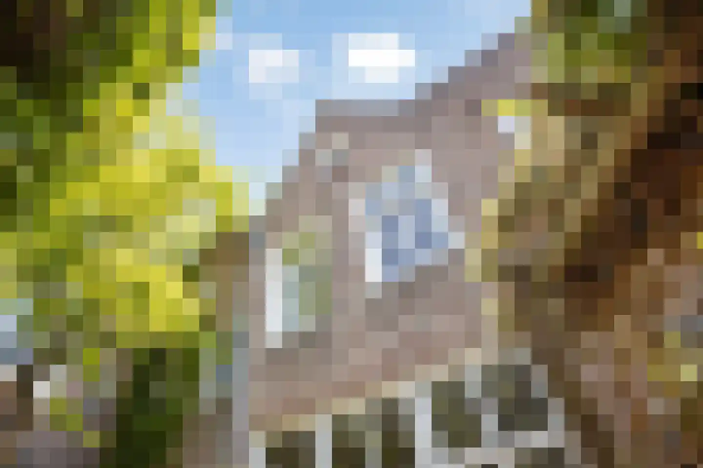 Clarastraat 5 's-Hertogenbosch thumbnail 16