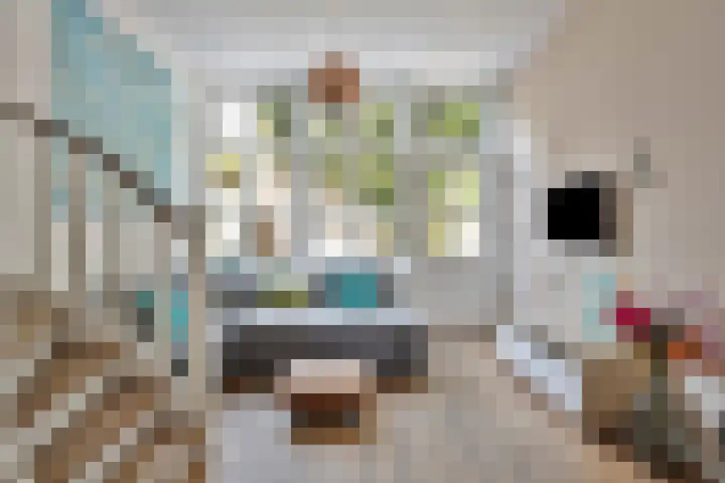 Clarastraat 5 's-Hertogenbosch thumbnail 5