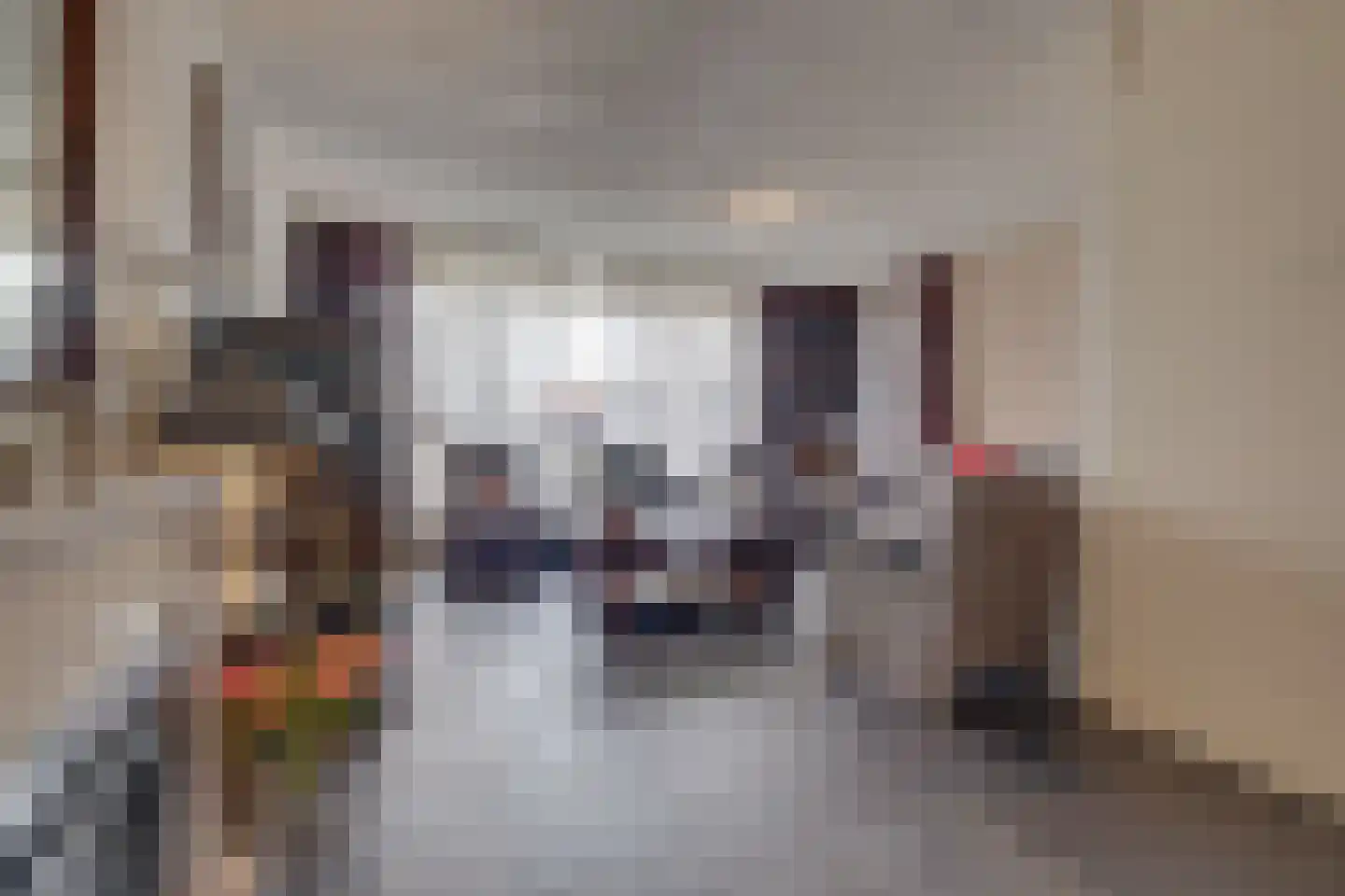 Clarastraat 92 Echt thumbnail 12