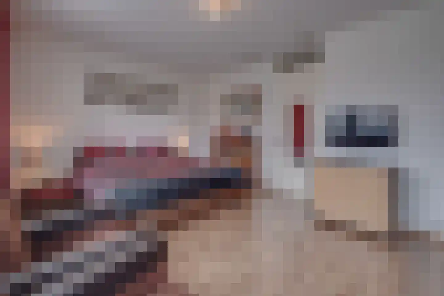 Clarastraat 92 Echt thumbnail 29