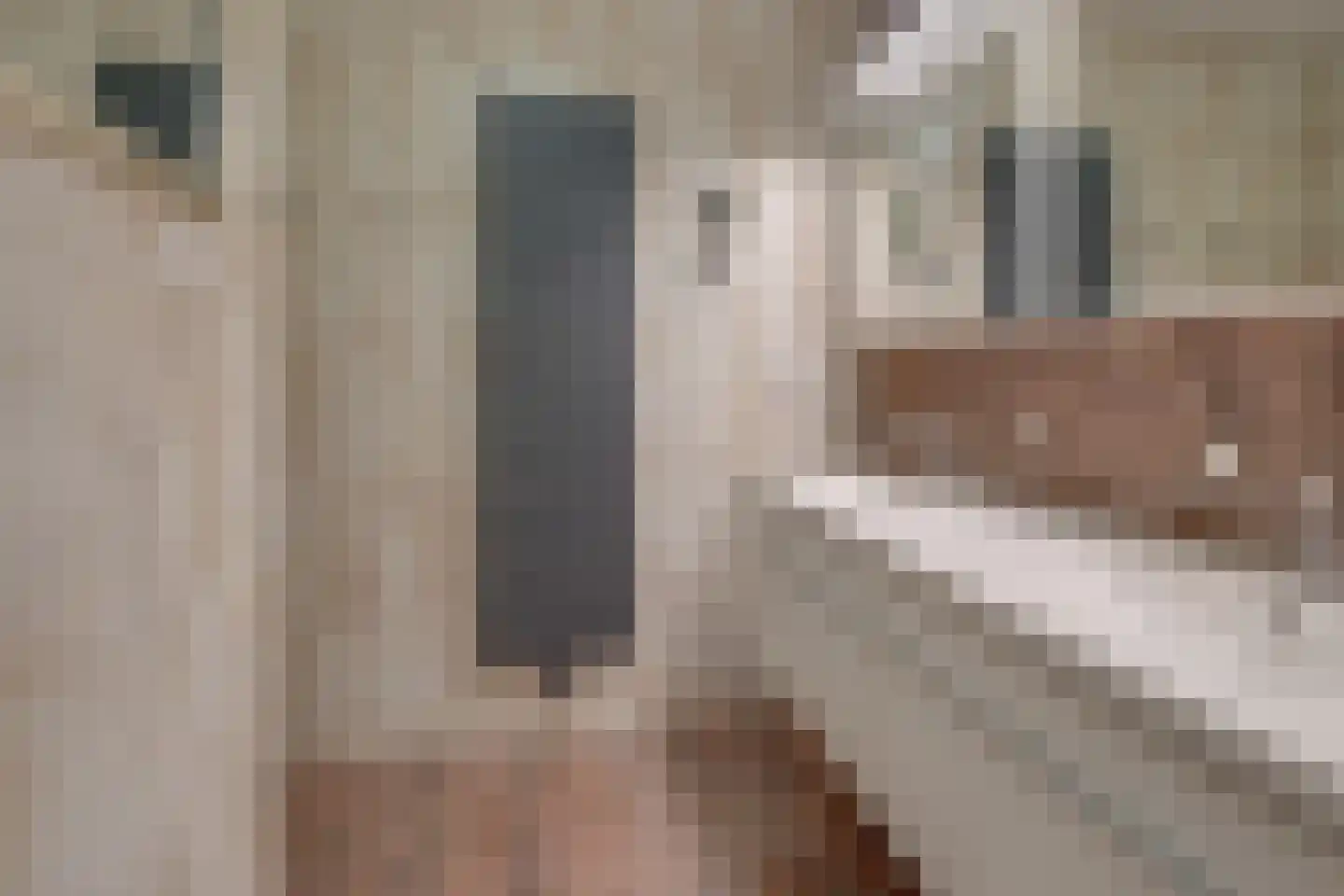 Clarastraat 92 Echt thumbnail 31