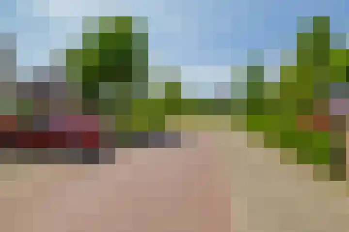 Clarenbekerhout 14 Harderwijk thumbnail 37