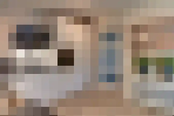 Clarenbekerhout 2 Harderwijk thumbnail 12