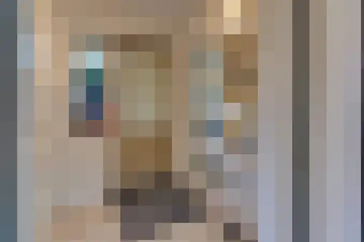 Clarenbekerhout 2 Harderwijk thumbnail 14