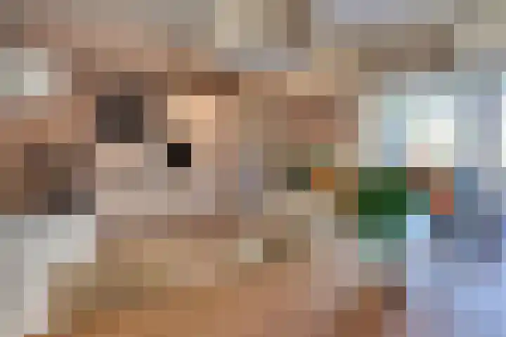 Clarenbekerhout 2 Harderwijk thumbnail 16