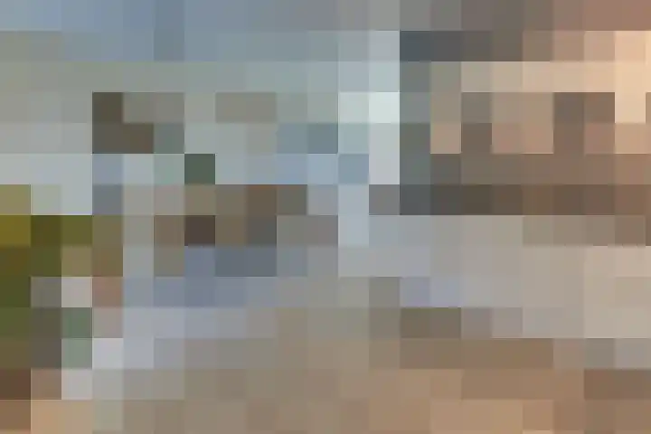 Clarenbekerhout 2 Harderwijk thumbnail 17