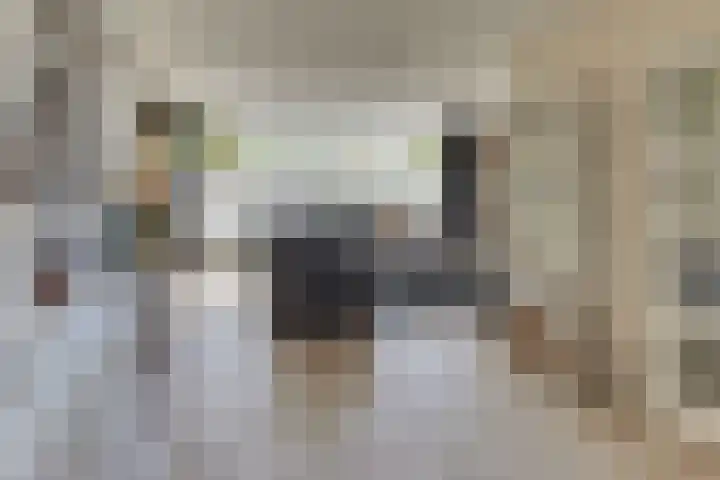 Clarenbekerhout 2 Harderwijk thumbnail 19