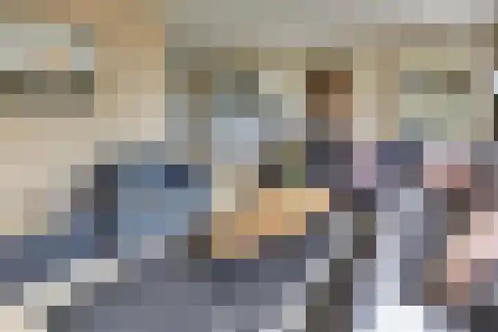 Clarenbekerhout 2 Harderwijk thumbnail 23