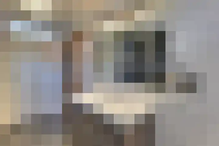 Clarenbekerhout 2 Harderwijk thumbnail 28