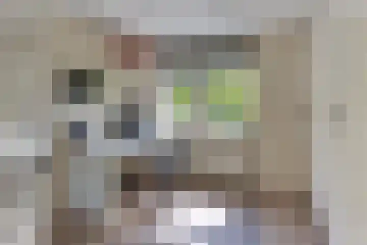 Clarenbekerhout 2 Harderwijk thumbnail 31