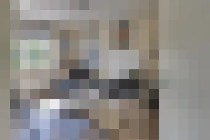 Clarenbekerhout 2 Harderwijk thumbnail 32
