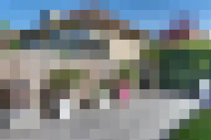 Clarenbekerhout 2 Harderwijk thumbnail 46