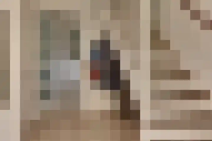 Clarenbekerhout 2 Harderwijk thumbnail 5