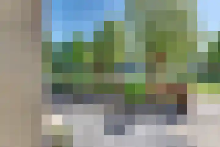 Clarenbekerhout 2 Harderwijk thumbnail 56