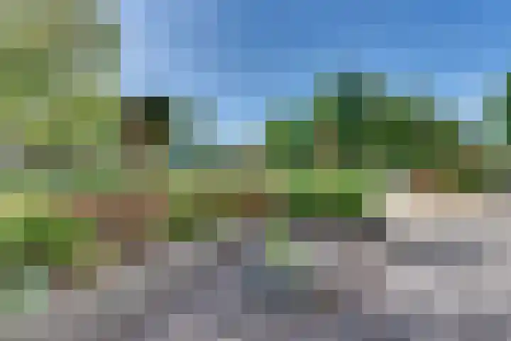 Clarenbekerhout 2 Harderwijk thumbnail 57