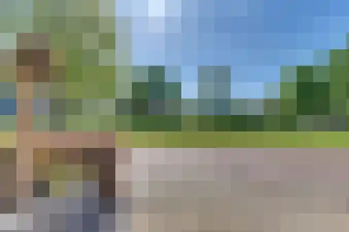 Clarenbekerhout 2 Harderwijk thumbnail 58
