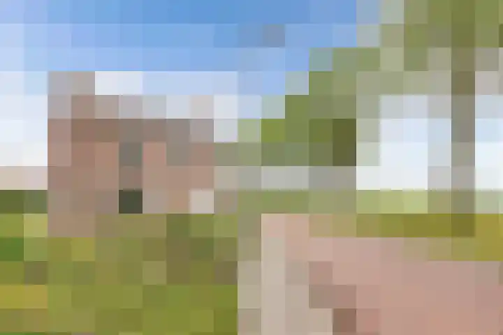 Clarenberglaan 35 Vollenhove thumbnail 10