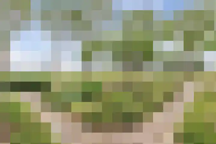 Clarenberglaan 35 Vollenhove thumbnail 11