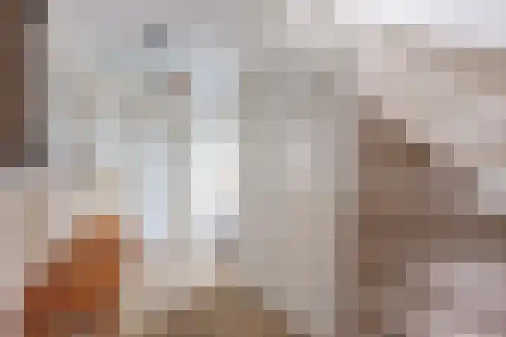 Clarenberglaan 35 Vollenhove thumbnail 14