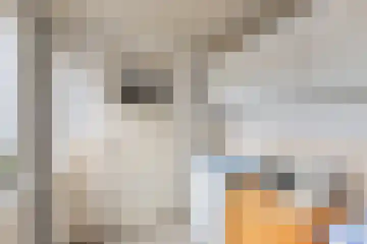 Clarenberglaan 35 Vollenhove thumbnail 27