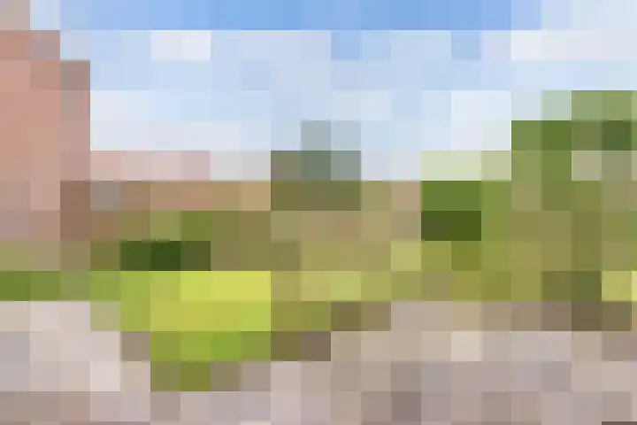 Clarenberglaan 35 Vollenhove thumbnail 30