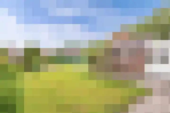Clarenberglaan 35 Vollenhove thumbnail 31