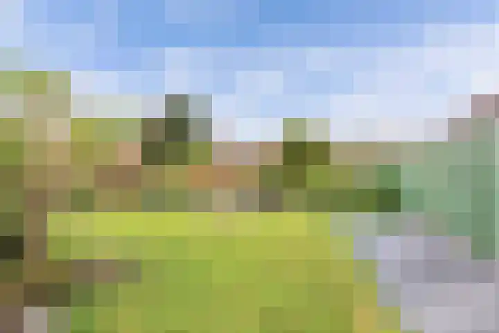 Clarenberglaan 35 Vollenhove thumbnail 33