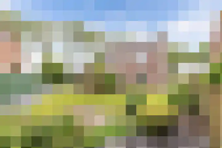 Clarenberglaan 35 Vollenhove thumbnail 34