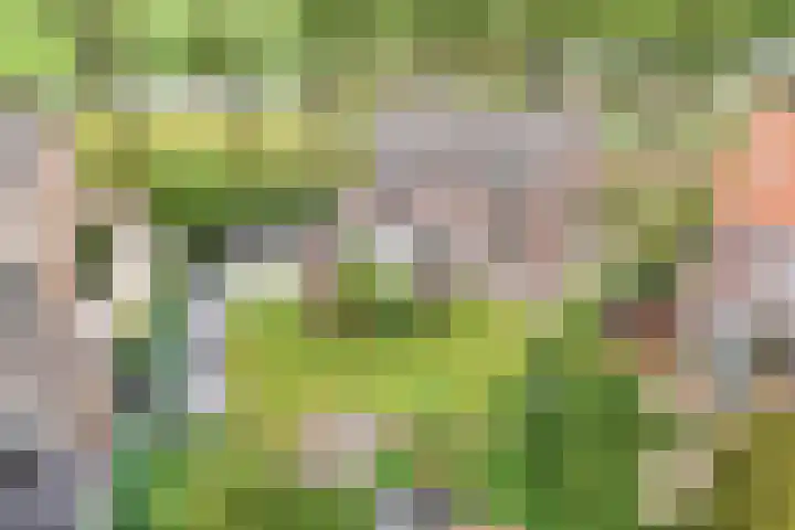 Clarenberglaan 35 Vollenhove thumbnail 35