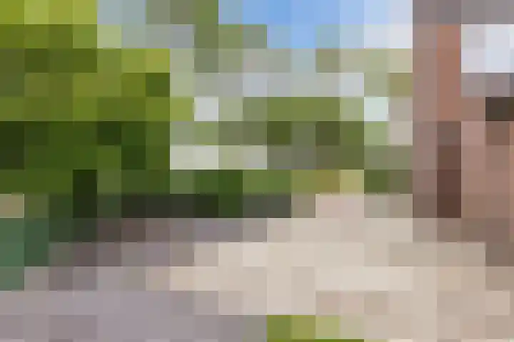 Clarenberglaan 35 Vollenhove thumbnail 36