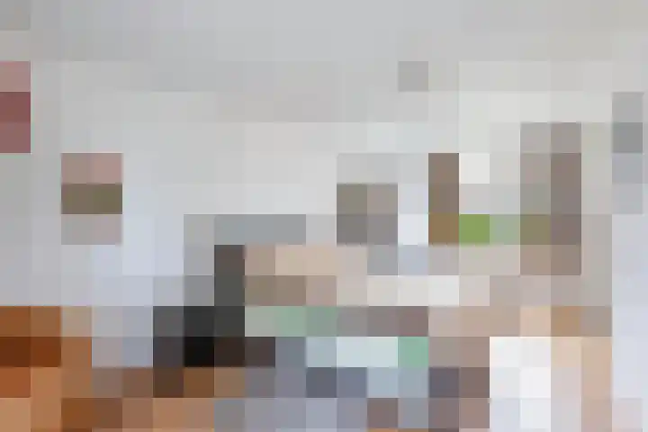 Clarenberglaan 35 Vollenhove thumbnail 38