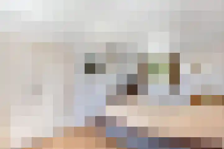 Clarenberglaan 35 Vollenhove thumbnail 39