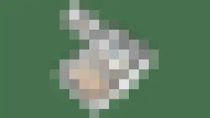 Clarenberglaan 35 Vollenhove thumbnail 47