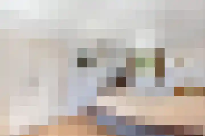 Clarenberglaan 35 Vollenhove thumbnail 6