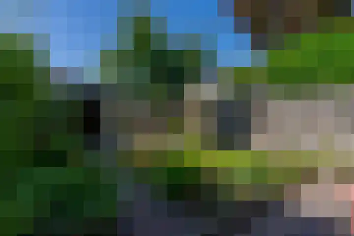 Clarenburg 14 Breukelen thumbnail 19