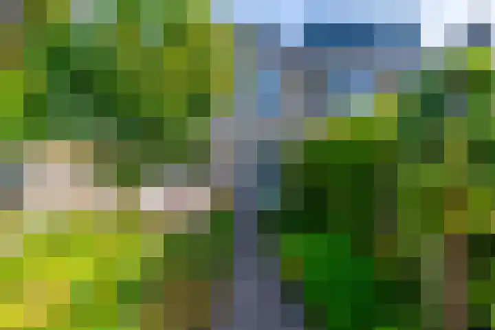 Clarenburg 14 Breukelen thumbnail 21