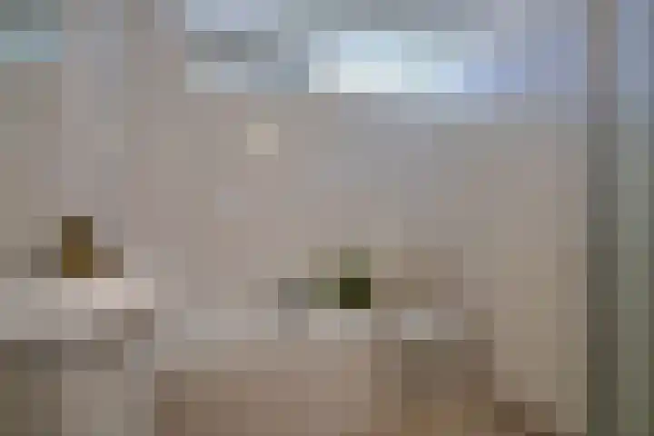 Clarenburg 14 Breukelen thumbnail 31