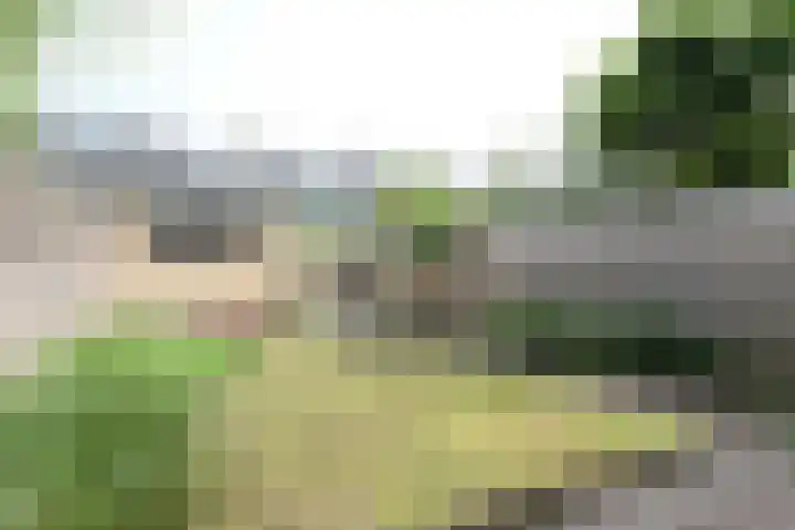 Clarenburg 29 Breukelen thumbnail 24